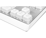 MODECOM Przewodowa klawiatura mechaniczna RGB PUDDING EDITION biała K-MC-LANPARTY-U-RGB-BLUE-200-PUDD - 697612 - zdjęcie 7